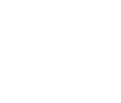 Winter film festival official selection